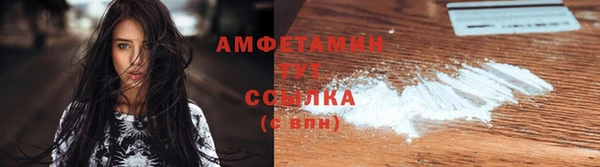 шишки Балахна