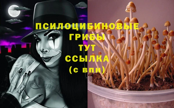 круглые Баксан