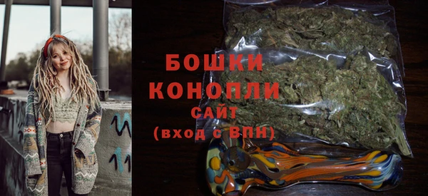шишки Балахна