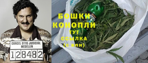 шишки Балахна