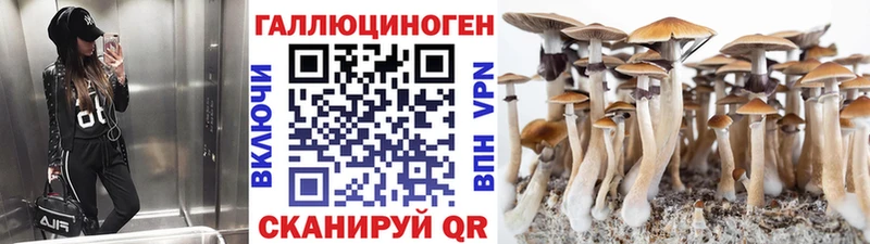 Псилоцибиновые грибы Cubensis  Гороховец 